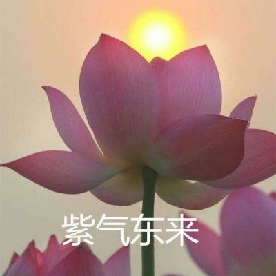 楚乔传之谍纸天眼无限金币元宝版下载